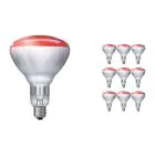 Multipack 10x Philips BR125 E27 Reflector 250W | Infrared